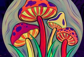 Forest Floor GLOW! event