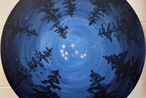 Matariki Night Sky event