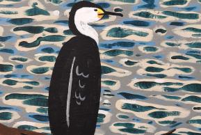 Pied Shag event